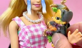 芭比视频,揭秘梦幻世界的魅力与时尚传奇